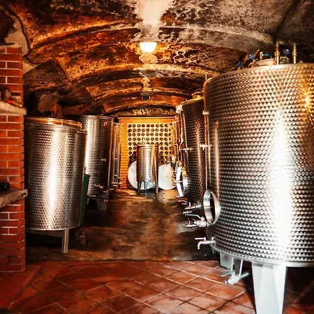 Wine Paradise Дом отдыха *