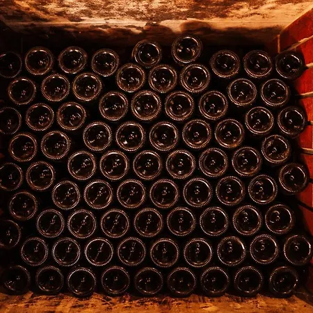 Дом отдыха Wine Paradise *